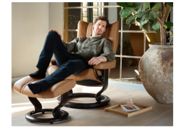 stressless wing